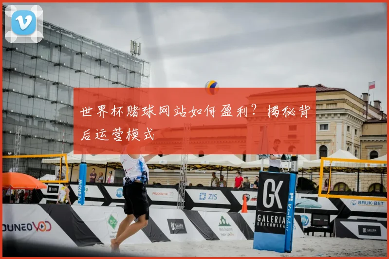 世界杯赌球网站如何盈利?揭秘背后运营模式