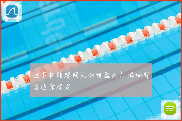 世界杯赌球网站如何盈利?揭秘背后运营模式
