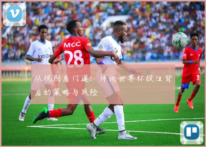 从规则看门道：评论世界杯投注背后的策略与风险
